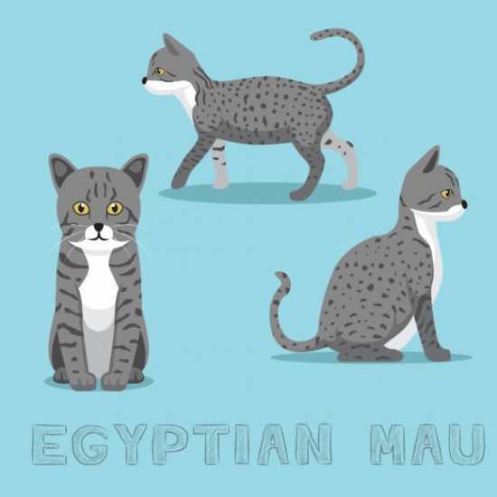 Koty w Starożytnym Egipcie